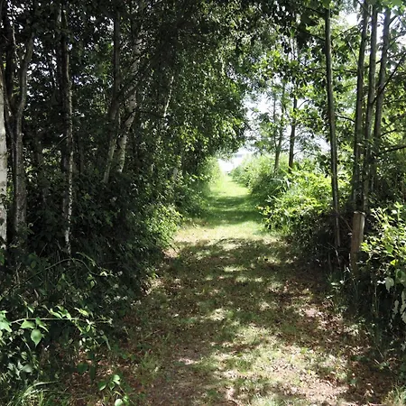 Lejlighed Agritourism, Relaxation In Nature *