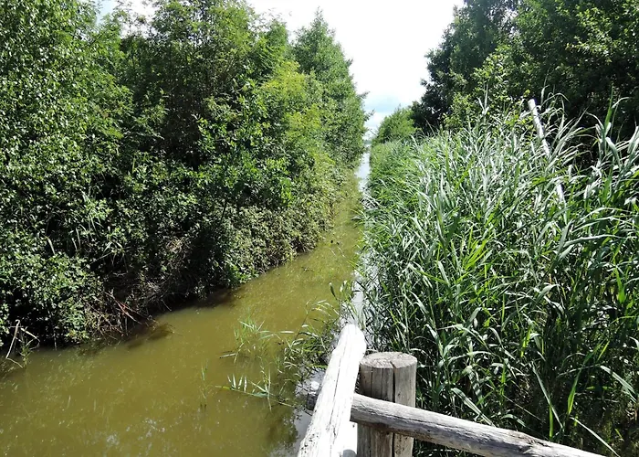 Agritourism, Relaxation In Nature *