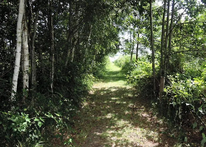 公寓 Agritourism, Relaxation In Nature *